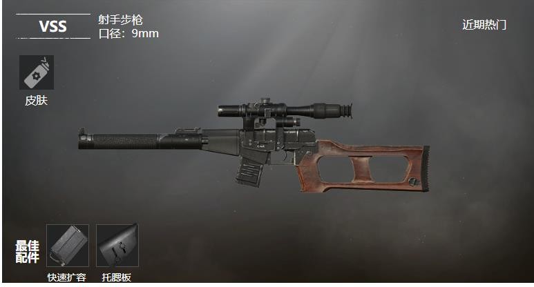 《和平精英》VSS射手步枪武器测评