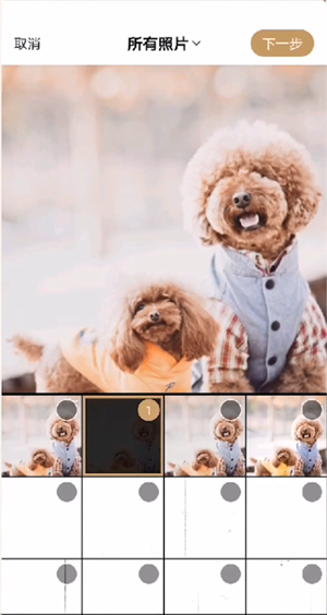 《绿洲》怎么发布动态