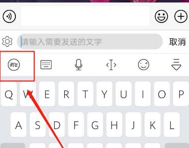《讯飞输入法》怎么设置BiuBiu密语模式