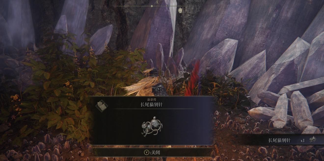 《艾尔登法环》长尾猫别针护符获得方法介绍