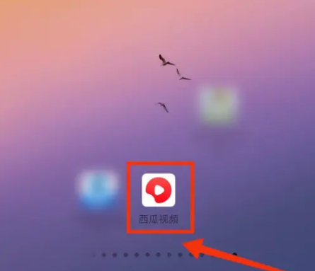 《西瓜视频》怎么解绑抖音