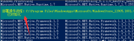 Win10专业版怎么安装应用商店