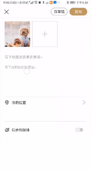 《绿洲》怎么发布动态