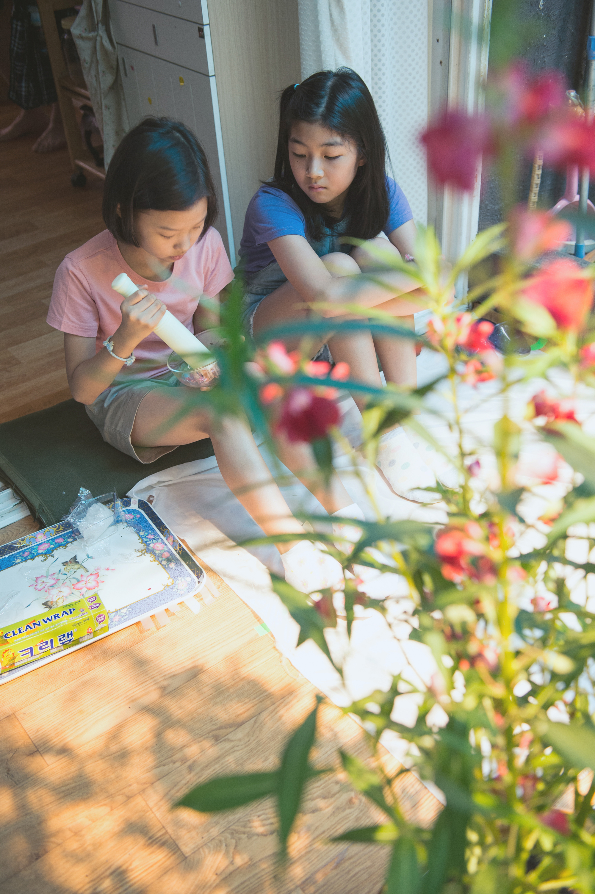 我们的世界(2016)的剧照 我们的世界(2016)的剧照