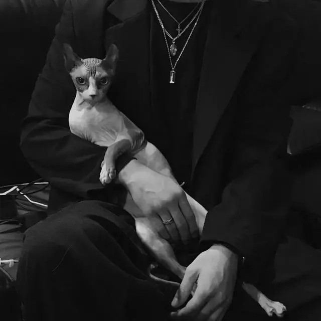 《微信》最流行头像男生成熟稳重