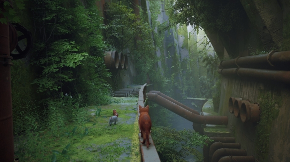 《stray》有哪些可以轻蹭的机器人