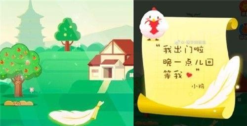《支付宝》小鸡怎么不见了