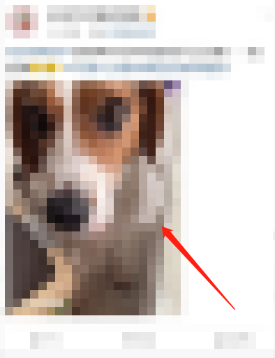 《微博》怎么关闭动态视频封面显示