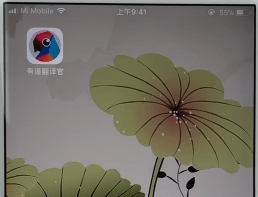 《有道翻译官》怎么切换语音