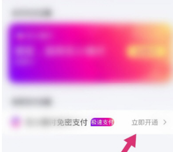 《花小猪打车》怎么开通免密支付