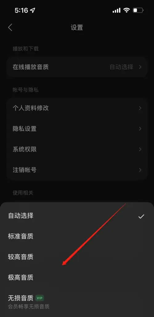 《汽水音乐》如何设置音质