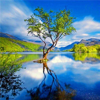 《微信》头像风景图片