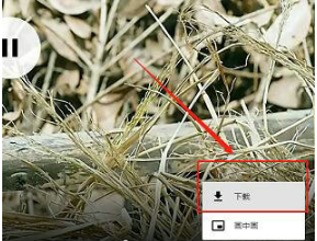 《抖音》电脑版怎么下载视频到本地