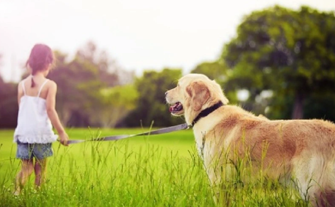 宠物沐浴露到底该怎么选？这4点为你解惑！
