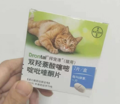 猫体内驱虫指南，驱虫就用拜宠清