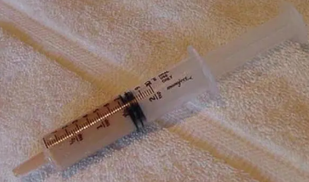 猫不吃东西怎么办?这样挑选猫粮很重要! 猫不吃东西怎么办?这样挑选猫粮很重要!