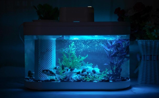 你们知道，家用鱼缸是增氧机好还是水泵好？