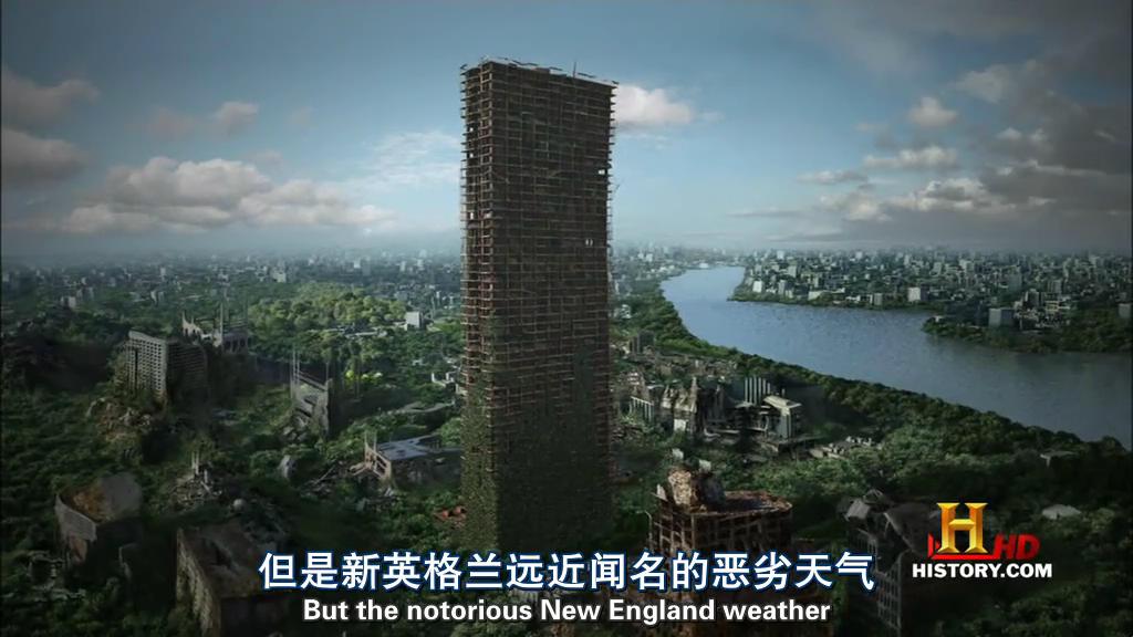 人类消失后(2009)的剧照 人类消失后(2009)的剧照