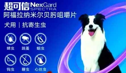 狗狗打虫药什么牌子好？用超可信so easy！
