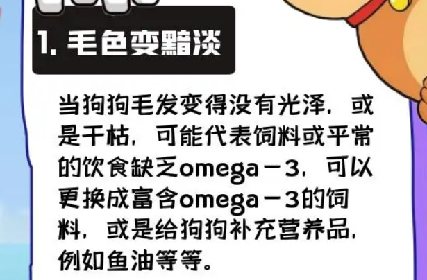 换狗粮后拉肚子？符合4种情况必须换粮