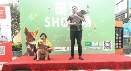 盖夫丨旅行带着狗，游山戏水，尽享美好生活