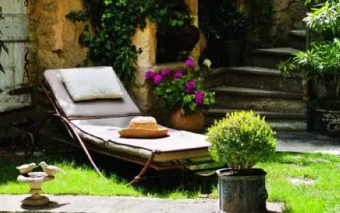 养宠小贴士：狗狗补钙吃钙片还是钙粉，狗补钙是钙片还是钙粉