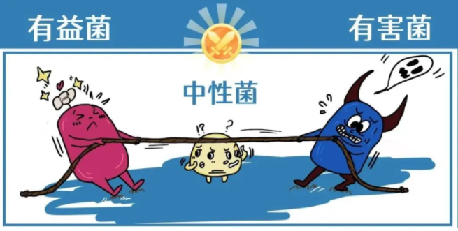 什么是益生菌?为什么千亿益生菌更有效? 什么是益生菌?为什么千亿益生菌更有效?