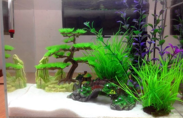 鱼缸造景，水草烂根该如何解决？我来告诉你