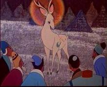 技术指导或编导作品 技术指导或编导作品