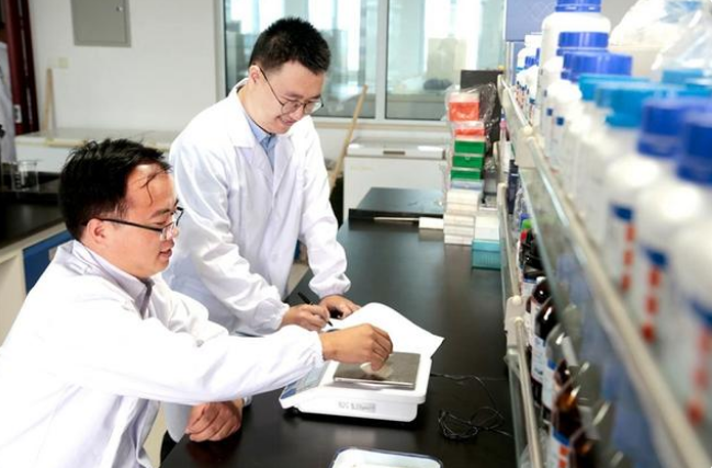 了不起的猫咪博士技术服务站成立 引领食养宠猫新潮流