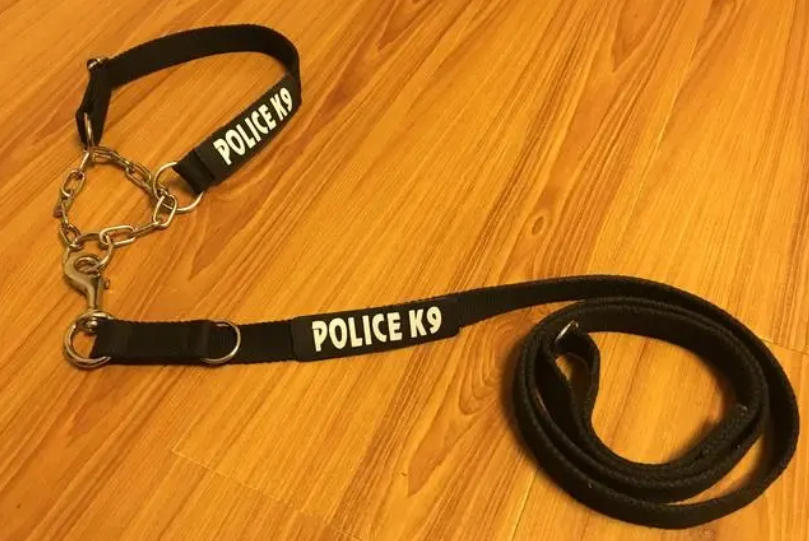 宠物牵引绳有什么作用？来了解一下吧