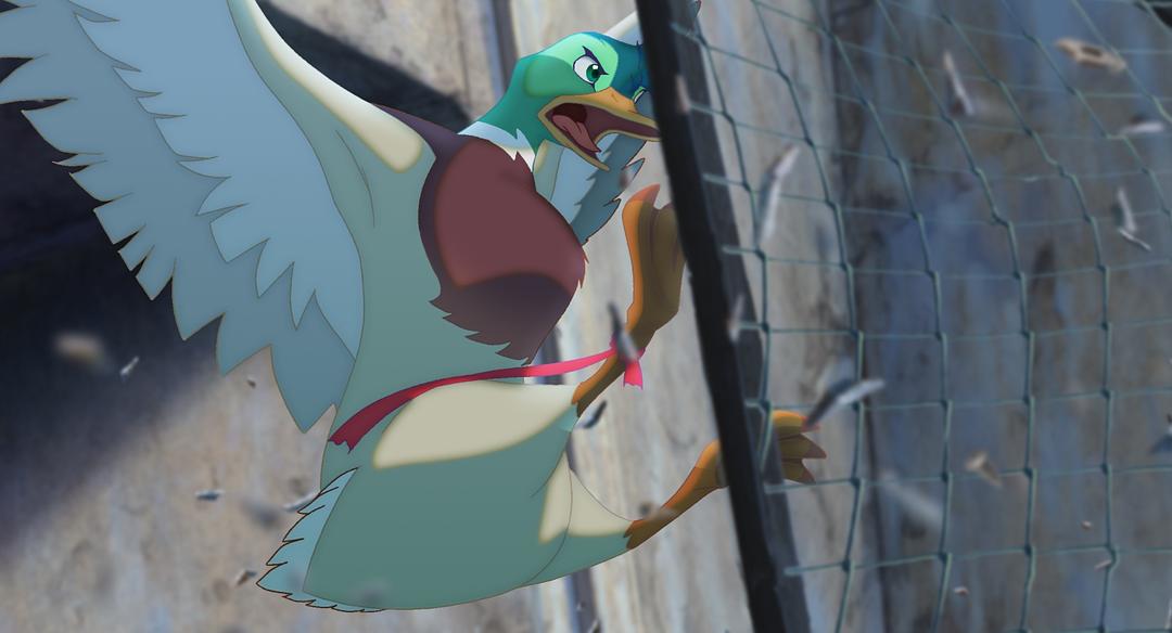 鸡妈鸭仔(2011)的剧照 鸡妈鸭仔(2011)的剧照