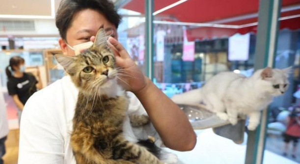 事无巨细精致养宠 宠物经济走向纵深