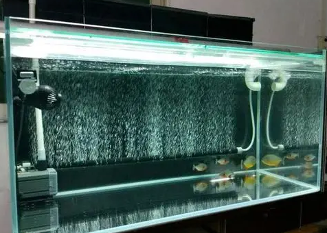 鱼缸水质变差，如果才能改善水质，让它变成空气缸