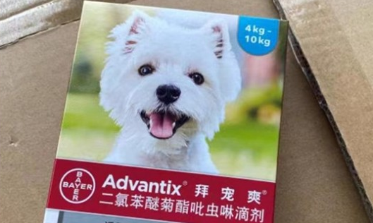 拜宠爽：养狗注意，狗狗体外驱虫别做错了