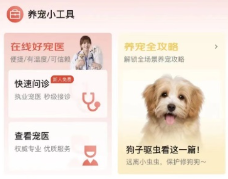 京东11.11新服务上线，“服务管家”首期为养宠新手提供全场景解决方案