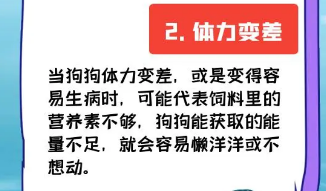 换狗粮后拉肚子？符合4种情况必须换粮