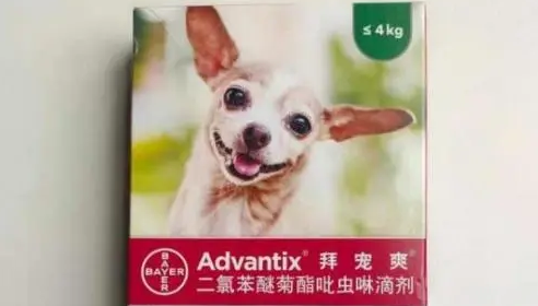 狗狗体外驱虫药用这个，拜宠爽狗狗好卫士
