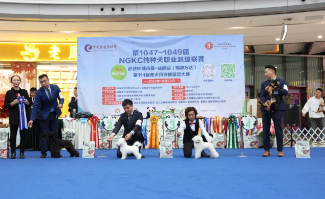 『Sashas-萨沙杯』纯种犬职业超级联赛城市赛-成都站