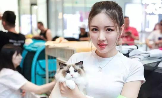 天津2019CAAC国际展，盖夫陪你沉迷猫界盛世美颜