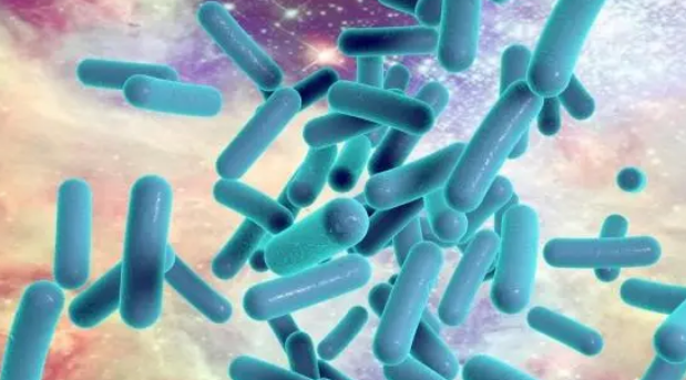 狗狗换狗粮便秘怎么办？主人来看看