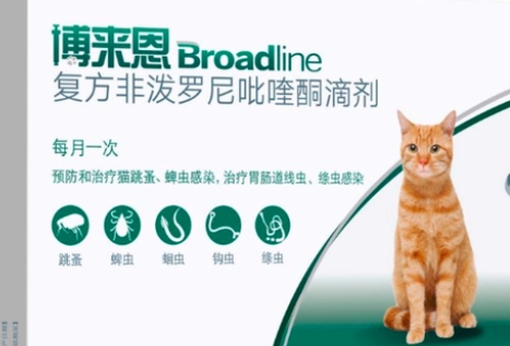猫驱虫多久一次，体内体外是要同时驱虫吗？