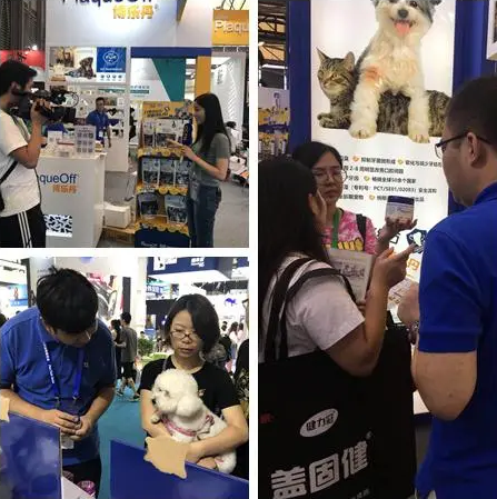 博乐丹亚宠展再掀蓝色旋风 引领宠物洁牙新风尚
