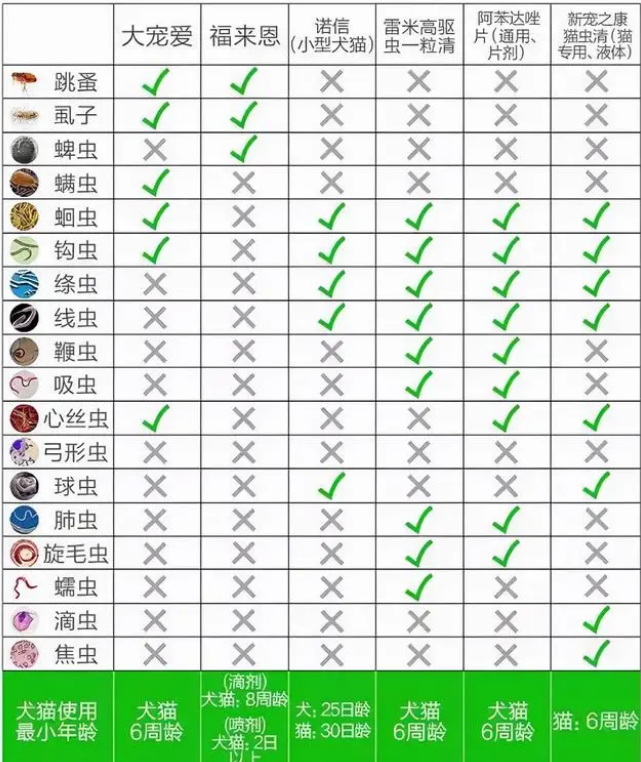 i如何为猫咪做驱虫？建议收藏，以后会用得上