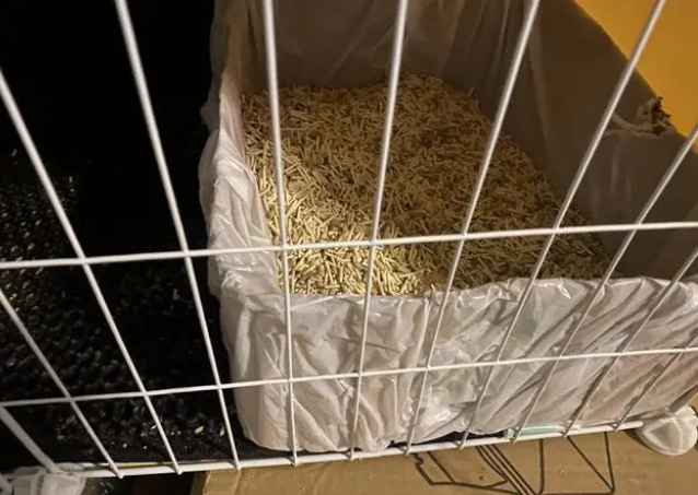 小壳Cature猫砂怎么样？新晋猫奴终于不用戴着口罩铲屎