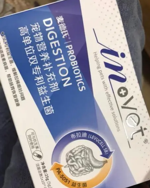 狗益生菌的正确吃法，呵护玻璃胃