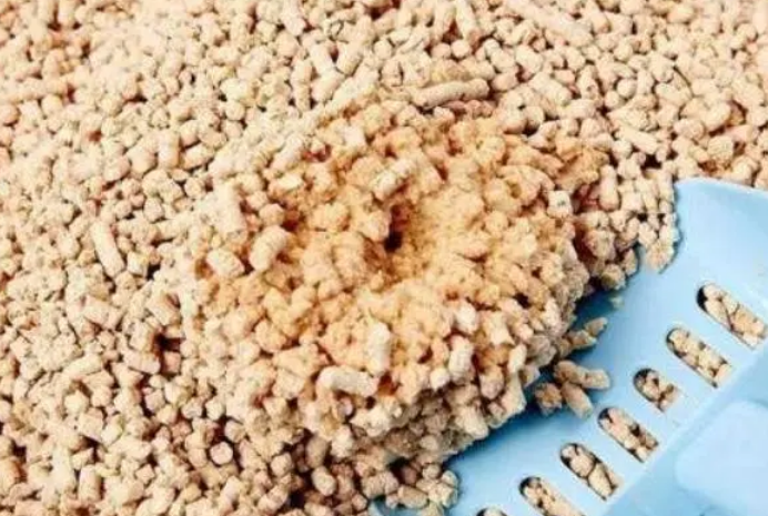 什么材质的猫砂比较好用？4大种类多种选择！