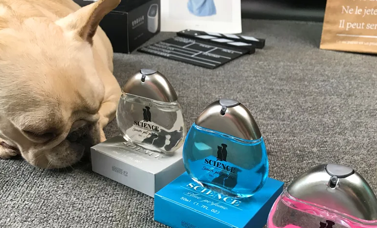 狗狗可不可以喷香水,喷了会怎样呢? 狗狗可不可以喷香水,喷了会怎样呢?