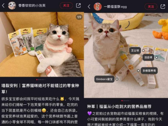 德国宠物品牌俊宝的中国本土化之路