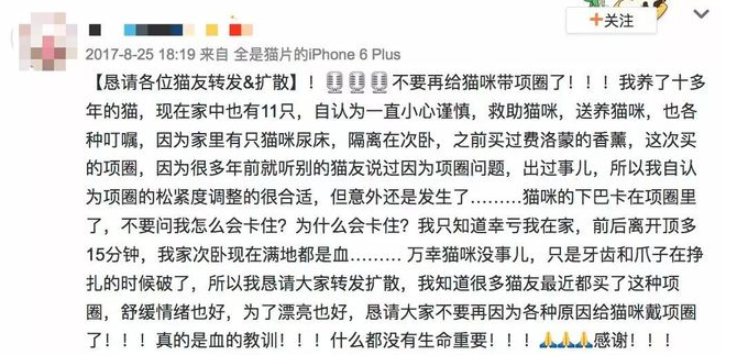 给猫咪狗狗脖子上佩戴项圈，到底是爱还是害？